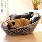 Pug in wicker basket